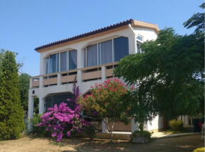 Apartments Topić